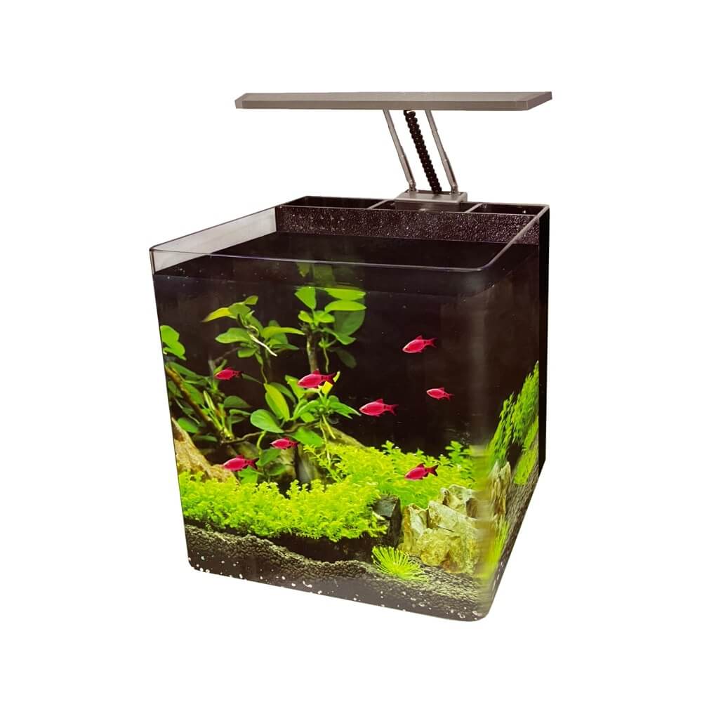 Acvariu Nano Planted 24 litri Ocean Free 7 Specificatii tehnice Volum acvariu: 24 litri. Iluminare LED: 10 LED-uri (12,48 W). Pompa sistemului de filtrare: Debit de 300 litri pe ora. Dimensiuni: 27,50 x 27,50 x 32,00 cm (L x l x H). De ce sa alegi Acvariu Nano Planted 24 litri Ocean Free? Functionalitate avansata intr-un format compact: Este ideal pentru incepatori si pasionati care doresc un acvariu mic, dar performant. Economie si eficienta: Consumul redus de energie al sistemului LED si filtrarea eficienta fac din acest produs o investitie excelenta. Design atractiv si calitate premium: Fabricat din materiale durabile, cu un design modern si practic.