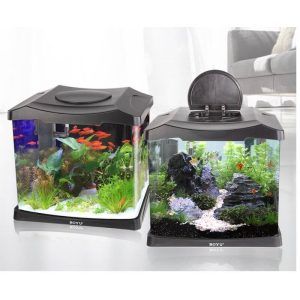 Acvariu pesti complet de 15 litri. Acvariu echipat cu tot ce ai nevoie. Acest acvariu echipat cu capac si filtru se adreseaza oricarui acvarist. O alegere inteligentă pentru casă sau birou. Acvariu echipat cu capac, iluminare LED și filtru intern de burete. Capac cu design detașabil pentru un acces facil. Un acvariu potrivit pentru peștii tropicali de apă dulce. Un acvariu fiabil și gata de a fi pus în funcțiune. Dimensiuni: 32,2 cm (Lungime) x 23,5 cm (latime) x 30 cm (inaltime). Dotat cu filtru intern cu un debit de 300 l / h și putere de 5 W. Consumul de energie electrică al sistemului de iluminare este de numai 0,6 W. Alimentarea se face la sistemul normal de energie electrică: 220-230 V / 50 Hz. Culoare: negru. Acvariu confecționat din sticlă cu capac din plastic. Compact și cu design inovativ. Sistem de iluminare LED cu un consum foarte mic de energie electrică și suficient de puternic pentru a asigura o bună iluminare acvariului. Filtru intern eficient cu zgomot redus și medii de filtrare propice pentru dezvoltarea bacteriilor benefice pentru filtrarea biologică a apei. Volum total al acvariului: 22 litri. Volum util al acvariului: 15 litri. Acvariu 15 Litri: O alegere optima pentru casa sau birou Descopera acest model de acvariu echipat cu iluminare LED, filtru de burete si un capac detasabil, conceput pentru orice acvarist. Acest ghid detaliat acopera totul de la configurare la intretinere, fiind alegerea ideala pentru pestii tropicali de apa dulce. Caracteristicile esentiale ale acvariului de 15 litri Acvariile nu sunt doar recipiente de sticla; ele sunt ecosisteme complexe care necesita echipamentul adecvat pentru a prospera. Acvariul de 15 litri este proiectat pentru a oferi un mediu sustenabil pentru pestii exotici de apa dulce. Capac detasabil pentru acces facil Capacul detasabil al acestui acvariu nu este doar stilat, ci si functional. Permite accesul usor la interior, simplificand sarcini de intretinere precum hranirea pestilor si curatarea. Designul capacului este crucial pentru prevenirea evaporarii apei si mentinerea microclimatului din interiorul acvariului. Sistemul de iluminare LED Sistemul de iluminare LED din acest acvariu este unul deosebit. Consuma doar 0,6 wati, fiind incredibil de eficient din punct de vedere energetic. Lumina furnizata este suficienta pentru a sustine viata plantelor si pentru a ilumina frumos pestii, imbunatatind estetica oricarei incaperi. Filtrul intern eficient cu burete Filtrul intern cu burete are un debit maxim de 300 de litri pe ora si un consum de energie de doar 5 Wati. Elimina eficient resturile si promoveaza cresterea bacteriilor benefice, esentiale pentru un mediu acvatic sanatos. Specificatiile acvariului Intelegerea specificatiilor acvariului tau este cruciala pentru a asigura ca se potriveste bine in spatiul desemnat si functioneaza eficient. Dimensiuni Lungime: 322 mm Latime: 235 mm Inaltime: 300 mm Aceste dimensiuni fac acvariul suficient de compact pentru majoritatea birourilor si suficient de robust pentru a sustine aproximativ 15 de litri de apa. Capacitatea de filtrare Filtrul cu care vine echipat acvariul asigura apa curata in permanenta, cu o rata de debit suficienta pentru mentine mediul ideal pentru pesti si plante. Eficienta energetica Intregul set, inclusiv sistemul de iluminare si filtrare, este conceput sa fie eficient din punct de vedere energetic, reducand facturile de electricitate si amprenta ecologica. Configurarea acestui acvariu pesti complet Configurarea acvariului implica planificare atenta si executie pentru a crea un habitat sanatos pentru pestii tai. Pasul 1: Pregatirea locatiei Alege o suprafata stabila, nivelata, departe de lumina directa a soarelui, care poate cauza cresterea algelor si fluctuatii de temperatura. Pasul 2: Instalarea echipamentului Asambleaza filtrul conform instructiunilor producatorului si pozitioneaza lumina LED. Asigura-te ca capacul este plasat in mod corect. Pasul 3: Adaugarea apei si conditionarea Umple acvariul cu apa si trateaza-o cu un conditioner de apa. Acesta pregateste mediul pentru a fi sigur pentru pestii tai, care ar trebui introdusi incet pentru a se ajusta la noile conditii. Sfaturi de intretinere pentru acvariu Intretinerea regulata este cheia pentru un acvariu prosper. Iata cum sa mentii configuratia in conditii optime: Programul de intretinere regulata Curata acvariul la fiecare doua saptamani, verifica si curata filtrul pentru a asigura o calitate optima a apei. Rezolvarea problemelor comune Evita riscul de aparitie a algelor limitand expunerea la lumina naturala a acvariului si mentinand calitatea apei. Specii de pesti si plante potrivite pentru acest acvariu echipat Alegerea locuitorilor potriviti pentru acvariul tau este cruciala pentru mentinerea echilibrului ecologic. Specii de pesti Specii tropicale de talie mica precum Neoni, Tetra, Bettai si Guppy sunt perfecte pentru un acvaru de 15 litri. Acestea sunt rezistente si se adapteaza bine la viata in acvariu. Optiuni de plante Opteaza pentru plante precum Anubias si Cryptocorine, care necesita lumina minima si ingrijire redusa, contribuind la calitatea apei si la estetica acvariului tau. Concluzie Un acvariu de 15 litri, cu designul sau compact si echipamentul eficient, este o alegere excelenta pentru acvaristi incepatori si experimentati deopotriva. Adu un colt de natura chiar in sufrageria sau biroul tau.