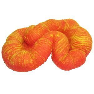 Coral moale pentru acvariu Trachyphylia transforma complet decorul. Ideal pentru orice coral acvariu, acest element vibrant aduce un plus de culoare si textura. Contribuie la amenajarea unui acvariu modern si ofera un decor acvariu plin de viata si armonie.