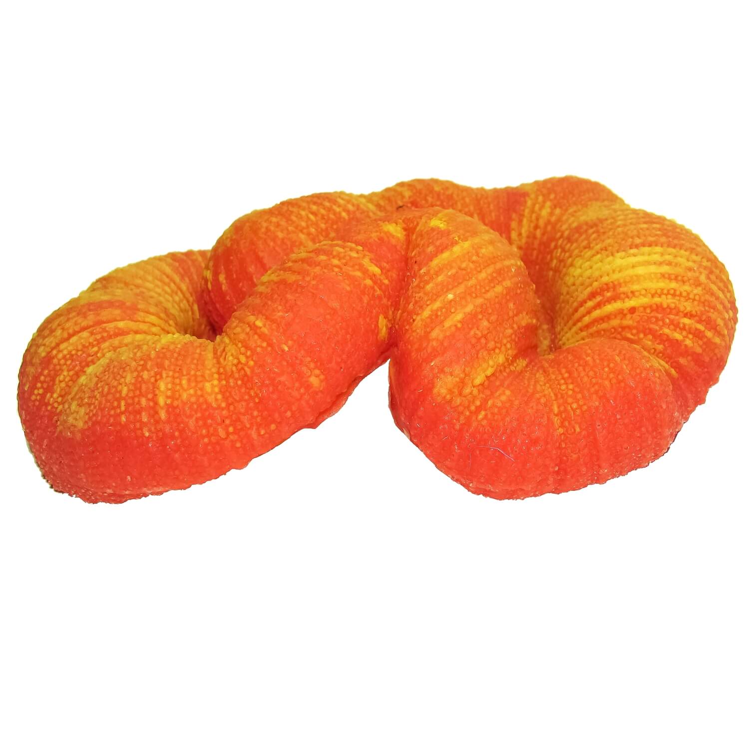Coral moale pentru acvariu Trachyphylia 2 Coral moale pentru acvariu Trachyphylia este alegerea perfecta pentru un decor acvariu elegant. Acest coral acvariu adauga culoare si miscare naturala, contribuind la amenajarea unui acvariu spectaculos si atragator, atat pentru pesti, cat si pentru privitori.