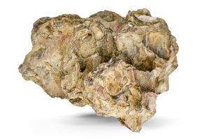 Dragonstone roca acvariu per bucata DS46
