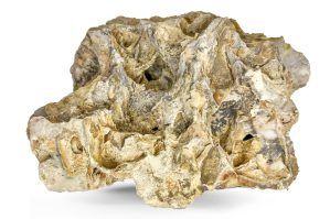 Dragonstone roca acvariu per bucata DS47