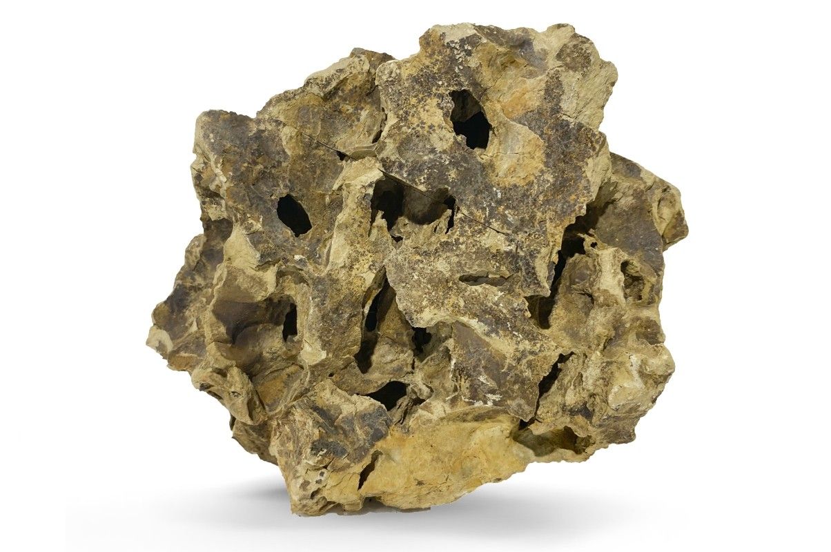 Dragonstone roca acvariu per bucata DS50 1 Dragonstone roca acvariu per bucata DS50