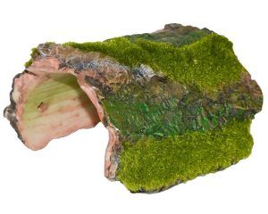 Decor acvariu scoarta lemn cu moss verde crud, piesa unica de decor acvariu. Aceste decoratiuni acvarii adauga un aspect natural si ofera refugiu perfect pentru pesti mici si medii.