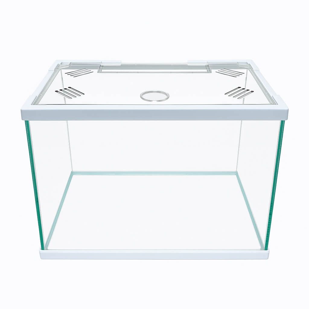 Acvariu 11 litri cu capac plastic – acvariu pesti mic 31 cm 14 Acvariu 11 litri practic si sigur, acvariu de pesti modern cu acvariu capac plastic, alegerea ideala pentru micile acvarii mici.