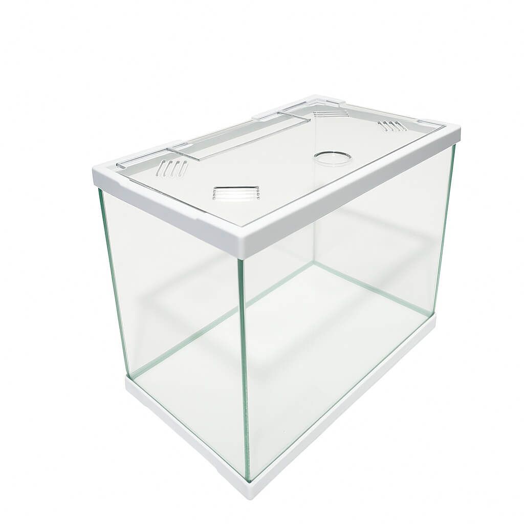 Acvariu 11 litri cu capac plastic – acvariu pesti mic 31 cm 5 Acvariu 11 litri transparent, acvariu de pesti versatil cu acvariu capac plastic, alegerea perfecta pentru casa sau birou, din gama acvarii mici.