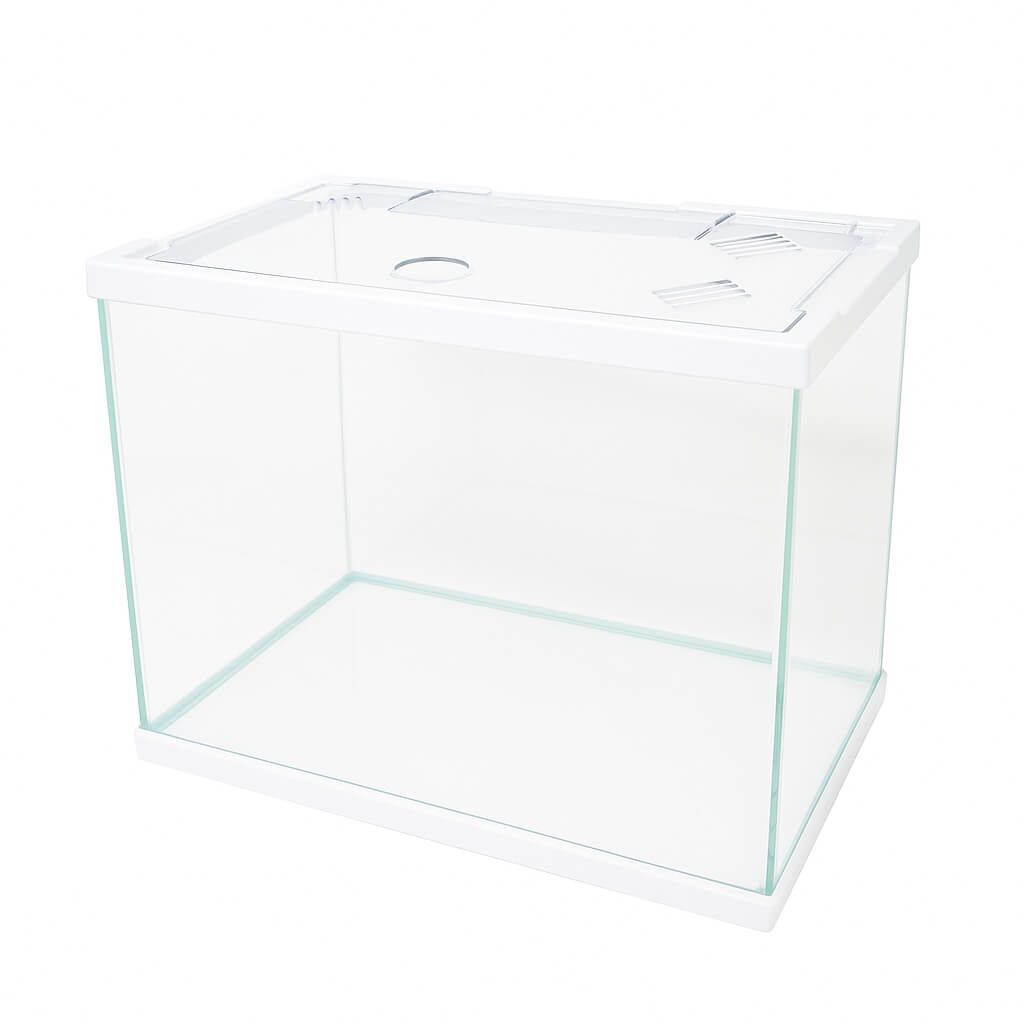 Acvariu 11 litri cu capac plastic – acvariu pesti mic 31 cm 7 Acvariu 11 litri rezistent, acvariu de pesti cu acvariu capac plastic durabil, perfect pentru amenajari moderne si acvarii mici estetice.