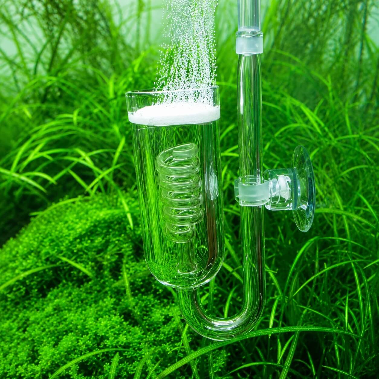 Difuzor ceramic de CO2 Small pentru acvariu 3 Difuzor ceramic de CO2 Small pentru acvariu