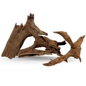 Lemn pentru acvariu Drift Wood Medium de esenta tare folosit la decorarea acvariilor si terariilor. In acvaristica radacinile de Drift Wood se pot orna cu plante acvatice.