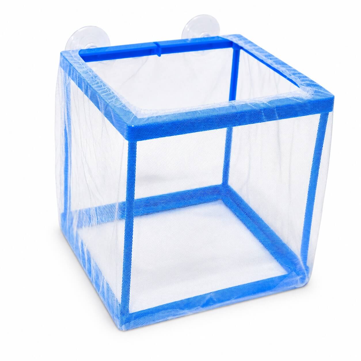 Maternitate acvariu din plasa marime small ( 16.5x15x15 ) 3 Separator pesti din plasa vazut de sus, cu structura albastra si ventuze de prindere