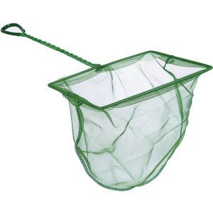 Minciog pentru acvariu verde 15 cm, ideal pentru capturarea pestilor. Ustensile acvariu esentiale, minciog pesti acvariu rezistent si usor de folosit. Daca esti pasionat de acvaristica, stii cat de important este sa ai la indemana un minciog pentru acvariu verde 15 cm. Acest minciog pentru pesti acvariu este un accesoriu indispensabil pentru orice acvariu, fiind perfect pentru capturarea rapida si usoara a pestilor. Fabricat din materiale de calitate superioara de catre Ocean Free, acest minciog este conceput sa reziste in timp si sa fie usor de manevrat. Caracteristici: Dimensiune potrivita: Minciogul are o lungime a bazei de 15 cm, fiind ideal pentru majoritatea acvariilor de dimensiuni medii si mici. Plasa verde: Culoarea verde ajuta la camuflajul minciogului in apa, reducand stresul pestilor in timpul capturarii. Materiale durabile: Fabricat din materiale rezistente, acest minciog pentru pesti acvariu va face fata cu brio utilizarii frecvente. Usor de folosit: Designul ergonomic permite o manevrare simpla si eficienta, reducand efortul necesar capturarii pestilor. Un minciog este una dintre cele mai folosite ustensile acvariu. Alegerea corecta a unui minciog pesti acvariu este esentiala pentru a asigura siguranta si bunastarea pestilor tai. Iata cateva aspecte de luat in considerare: Dimensiunea pestilor: Este important sa alegi un minciog potrivit dimensiunii pestilor din acvariu. Pestii mai mari si mai activi necesita o suprafata de capturare mai mare. Activitatea pestilor: Pentru pestii de acvariu rapizi, un minciog mai mare poate fi mai eficient, oferind o sansa mai mare de succes la prindere. Dimensiunea acvariului: Un minciog de 15 cm este potrivit pentru acvarii de dimensiuni medii si mici, oferind suficienta flexibilitate si manevrabilitate. Concluzie Alege minciogul pentru acvariu verde 15 cm de la Ocean Free pentru a te bucura de un accesoriu esential, durabil si eficient. Este una dintre acele ustensile acvariu care nu ar trebui sa lipseasca din arsenalul tau de ingrijire a pestilor. Capturarea pestilor devine astfel o operatiune simpla si rapida, protejand in acelasi timp sanatatea acestora. Investeste intr-un minciog pentru pesti acvariu de calitate si asigura-te ca acvariul tau este mereu bine echipat!