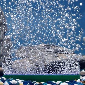 Perdea bule acvariu de 10 cm – perdea de aer acvariu ideala pentru oxigenare. Descopera perdele de aer pentru acvariu de calitate!