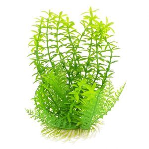 Plante acvariu easy Elodeea verde 18 cm – titlu: „Plante acvariu easy 18 cm Elodeea verde”. Plante artificiale realiste, plante acvariu ideale pentru apa dulce, baza ceramica stabila, verde intens, zero intretinere, perfect pentru decor acvarii moderne, compatibil cu orice specie pasnica.