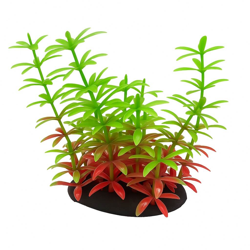 Plante de acvariu artificiale 8 cm Elodea rosu verde 2 Plante de acvariu Elodea rosu verde creeaza un punct focal de exceptie; plante artificiale durabile, flori artificiale pentru acvariu ce nu schimba pH-ul si impresioneaza pe termen lung.