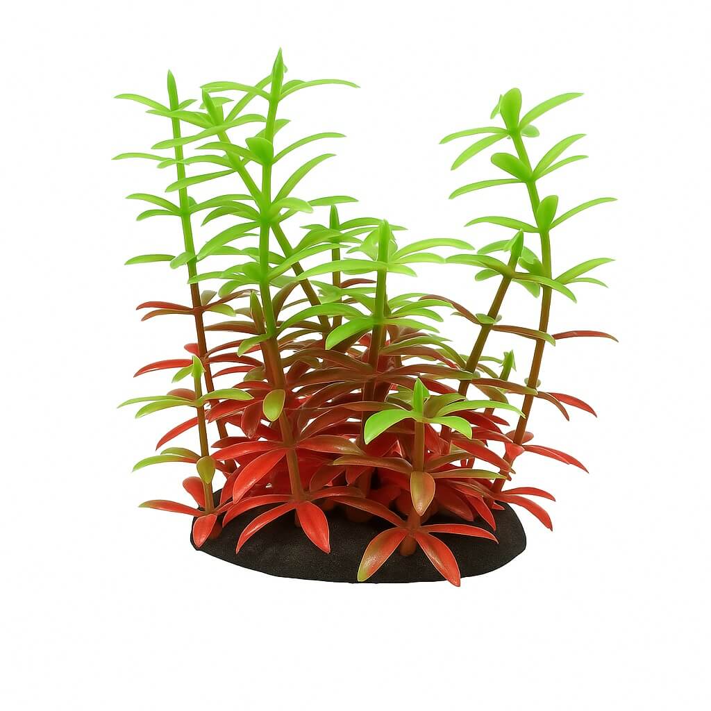 Plante de acvariu artificiale 8 cm Elodea rosu verde 3 Plante de acvariu bicolore 8 cm – Elodea cu frunze rosii si verzi; plante artificiale flexibile, ideale drept flori artificiale pentru acvariu incepator sau avansat.