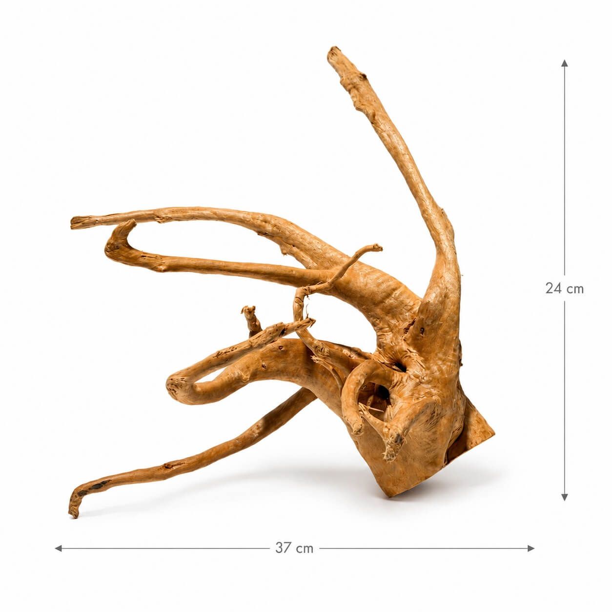 Red Moor pentru acvariu RM27 1 Red Moor pentru acvariu RM27 – lemn pentru acvariu ideal decorarii. Model lemn acvariu pentru pesti tropicali ce creeaza un habitat natural.