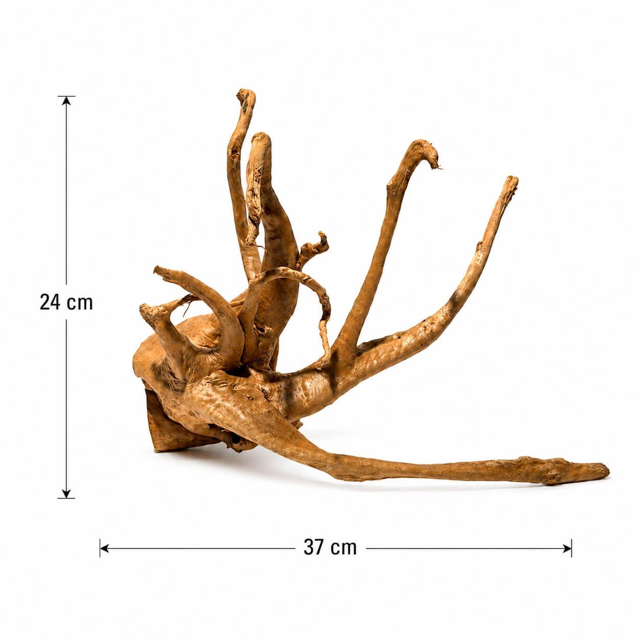 Red Moor pentru acvariu RM27 2 lemn Red Moor pentru acvariu RM27 special creat pentru cei care doresc un decor unic si natural, oferind o estetica deosebita si multiple beneficii pentru mediul acvatic