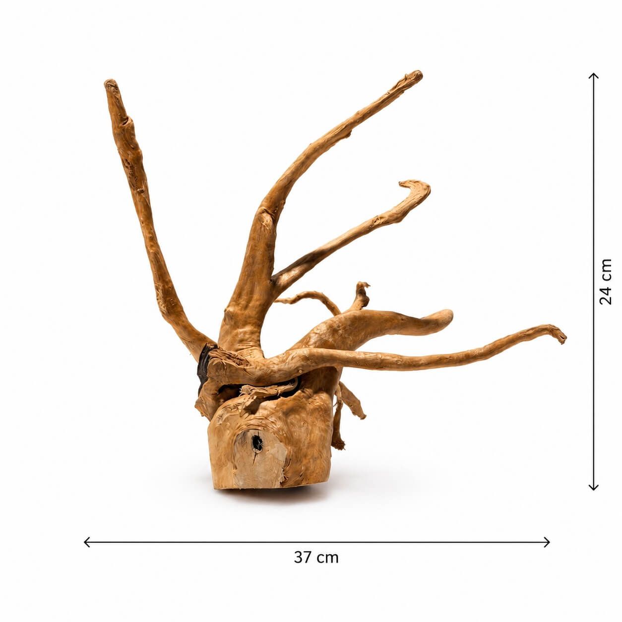 Red Moor pentru acvariu RM27 3 Red Moor pentru acvariu RM27 este pregatit sa devina punctul central al decorului acvariului, recreand un mediu acvatic similar cu cel din natura.