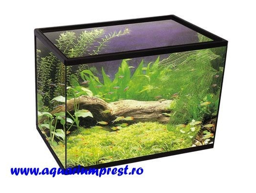 Acvariu 20 litri 36 X 22 X 26 cm 2 Acvariu AT325 36 X 22 X 26 cm