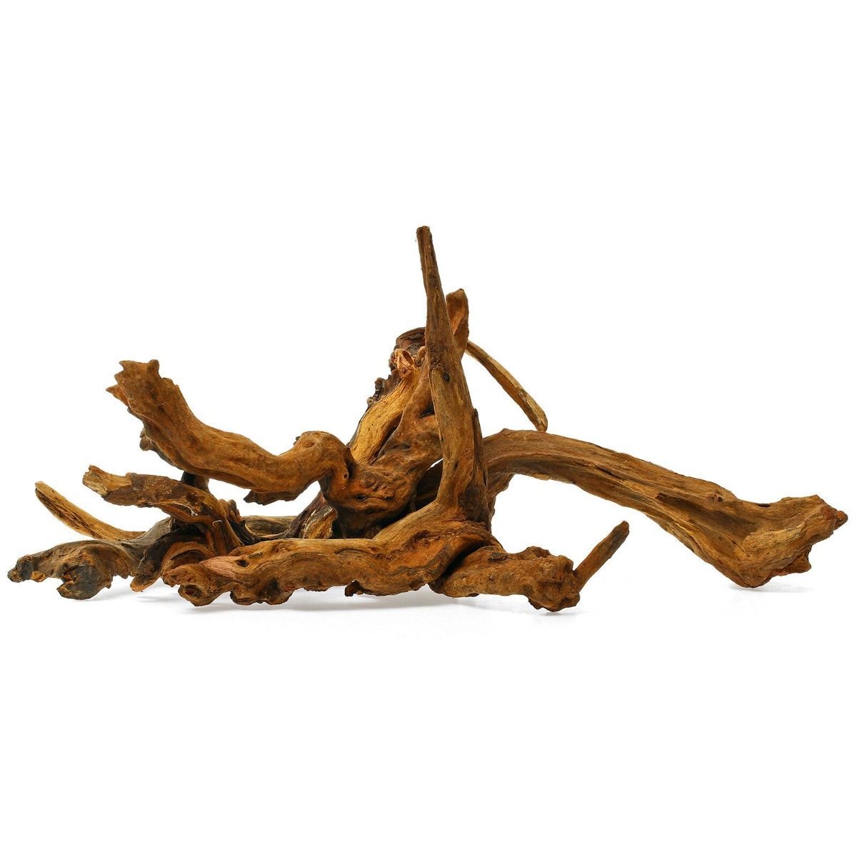 Decor lemn acvariu Drift Wood Medium-Large 2 Lemn pentru acvariu Drift Wood Medium de esenta tare folosit la decorarea acvariilor si terariilor. In acvaristica radacinile de Drift Wood se pot orna cu plante acvatice. Reptilele din terarii gasesc adapost si protectie in aceste lemne. Rezistenta pe timp indelungat la actiunea apei. Nu afecteaza viata pestilor exotici. Excelent raport calitate-pret. Nu necesita fierbere. Se introduce ca atare in acvariu dupa o inmuiere si o spalare in prealabil. Pretul este per o bucata asemanatoare dar nu identica cu cele prezentate in fotografia de produs. Lemnul pentru acvariu Drift Wood Medium este un accesoriu natural si estetic pentru orice acvariu sau terariu. Acest tip de lemn este prelucrat pentru a asigura siguranta vietuitoarelor acvatice, fiind ideal pentru pesti, reptile si plante acvatice. Lemnul de tip Drift Wood Medium nu doar ca imbunatateste aspectul general al acvariului dar ofera si ascunzisuri necesare pentru pesti, contribuind la mentinerea sanatatii si starii lor de bine. Este de asemenea un suport excelent pentru fixarea plantelor acvatice. Cu inmuiere adecvata inainte de utilizare, acest lemn se va scufunda si va ramane pe fundul acvariului adaugand profunzime si complexitate peisajului subacvatic. Lemnul Drift Wood Medium este alegerea perfecta pentru iubitorii de acvaristica ce doresc sa creeze un habitat natural si echilibrat pentru vietuitoarele lor acvatice.