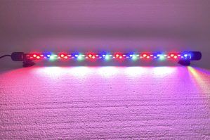 Corp iluminat led 56 cm cu 48 leduri. Lumina acvariu compozita, lampa led acvariu plantat, lumina submersibila RGB pentru un efect colorat si captivant. Acest corp iluminat LED 56 cm lumina compozita cu 48 de LED-uri este solutia ideala pentru iluminarea acvariilor plantate. Aceasta lampa LED acvariu plantat ofera o lumina compozita de inalta calitate, perfecta pentru a imbunatati vizual si a sustine sanatatea plantelor acvatice. Caracteristici: ​ Lungime: 56 cm Numar LED-uri: 48 dispuse pe doua randuri, pentru o iluminare intensa. Lampa are leduri: rosii, verzi, albastre și albe Culoare iluminat: Lumina compozita RGB, cu multiple optiuni de combinare a culorilor Consum de energie: 24W, eficienta energetica ridicata Diametru lampa: 22 mm, design subtire si elegant Lungime cablu: 140 cm pentru flexibilitate la instalare Tensiune alimentare: 220-240V 50-60Hz, cu operare la tensiune joasa pentru siguranta maxima Beneficii: Lumina compozita de calitate: Optimizeaza cresterea plantelor acvatice si imbunatateste aspectul general al acvariului. Iluminare reglabila: Poti alege intre diferite moduri de iluminare pentru a crea atmosfera dorita in acvariu. Modurile de iluminare: – toate ledurile – albastru + alb – rosu + albastru + verde Siguranta: Lampa functioneaza la o tensiune joasa, eliminand riscul de electrocutare accidentala. Durabilitate: LED-uri de generatie recenta, cu o durata lunga de viata si consum redus de energie. Instalare usoara: Lampa este gata de utilizare, vine echipata cu ventuze pentru fixare sigura pe geam. Aplicatii: Acvarii plantate: Ideal pentru acvariile cu plante acvatice, sustinand fotosinteza si asigurand o iluminare uniforma. Iazuri si fantani arteziene: Lampa submersibila poate fi utilizata pentru a crea efecte spectaculoase in iazuri sau fantani. Iluminat decorativ: Potrivita pentru iluminarea vitrinelor, tavanului sau altor elemente decorative din casa. Aceasta lumina submersibila RGB transforma orice acvariu intr-un spectacol vizual, oferind un iluminat intens si personalizabil. Lampa este usor de montat, eficienta energetic si sigura, facand-o o alegere excelenta pentru pasionatii de acvaristica.