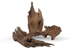 Lemn acvariu natural Drift Wood Small adauga un farmec aparte acvariului. Alege lemn acvariu pentru apa dulce pentru un decor acvatic natural si autentic. Pentru pasionatii de acvaristica, lemn acvariu natural Drift Wood Small este accesoriul perfect care combina estetica naturala cu functionalitatea. Acest decor acvatic este realizat din lemn de esenta tare, atent selectionat, si se integreaza armonios in orice tip de acvariu. Ideal pentru recrearea unui mediu natural pentru pestii exotici, acest lemn acvariu ofera un aspect autentic, fiind totodata un element esential pentru stabilizarea pH-ului apei.