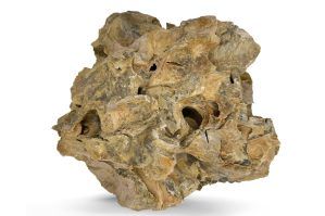 Dragonstone roca acvariu per bucata DS37