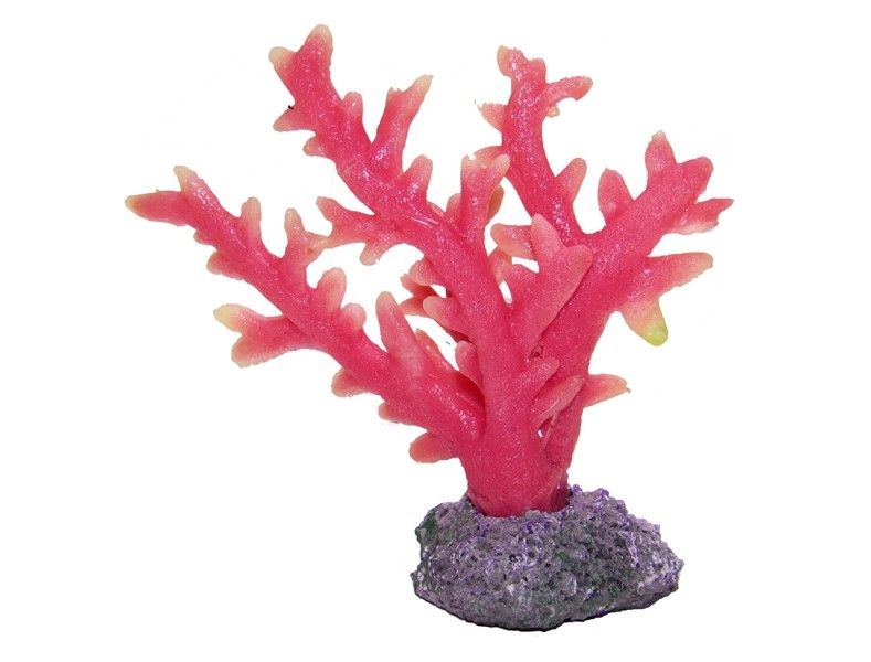 Coral acvariu rosu 12cm 1 Decor acvariu Y71