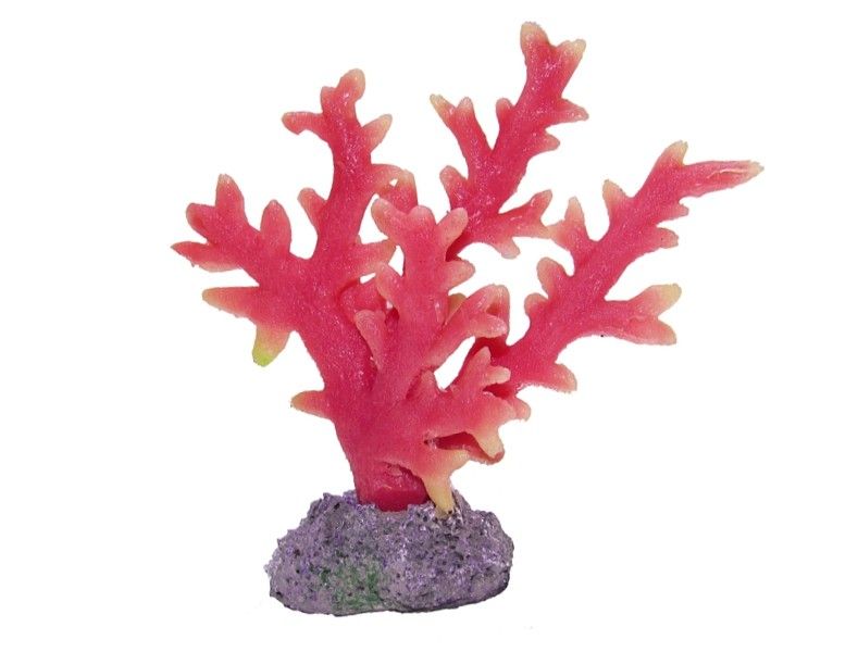 Coral acvariu rosu 12cm 2 Decor acvariu Y71