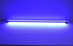 Lampa led acvariu 75 cm cu lumina acvariu albastra submersibila. Lumina acvariu pesti albastra, cu led acvariu pentru un efect vizual spectaculos. Lampa LED acvariu 75 cm cu lumina albastra submersibila este alegerea perfecta pentru a crea un efect vizual spectaculos in acvariul tau. Aceasta lampa submersibila cu lumina albastra Blue Moonlight ofera un iluminat de calitate superioara, ideal pentru a evidentia frumusetea pestilor si a plantelor din acvariu. Cu o lungime de 75 cm si 58 de LED-uri albastre de generatie recenta, aceasta lampa LED asigura o luminozitate ridicata si un consum redus de energie electrica, doar 4W. Caracteristici si beneficii: Lumina acvariu albastra: LED-urile albastre Blue Moonlight adauga un efect deosebit in acvariu, o lumina acvariu pesti care accentueaza culorile naturale ale pestilor si plantelor acvatice, oferind in acelasi timp o ambianta relaxanta. Lampa submersibila cu led: Lampa este complet submersibila, oferind flexibilitate in montare atat deasupra acvariului, cat si sub nivelul apei. Poate fi folosita si pentru iluminatul iazurilor, fantanilor arteziene sau al gradinilor. Eficienta energetica: Cu un consum de doar 4W, aceasta lampa LED asigura o economie semnificativa de energie electrica, fara a compromite luminozitatea necesara pentru un acvariu sanatos si atractiv. Durata mare de viata: LED-urile de ultima generatie sunt concepute pentru a oferi o durata de viata lunga, astfel incat sa te bucuri de un iluminat de calitate pentru o perioada indelungata. Siguranta: Lampa cu lumina albastra submersibila ce nu degaja caldura in timpul functionarii, eliminand riscul de supraincalzire a apei sau a mediului inconjurator. De asemenea, nu emite radiatii UV, asigurand un mediu sigur pentru pesti si plante. Instalare facila: Lampa vine echipata cu ventuze pentru o montare usoara pe geamurile acvariului. In plus, lungimea cablului de alimentare de 117 cm permite o instalare flexibila si convenabila. Versatilitate: Aceasta lampa LED poate fi utilizata nu doar in acvarii, ci si pentru iluminatul fantanilor arteziene, gradinilor sau chiar in interior, in vitrine, tavanuri sau bai, oferind un spectacol de lumina unic. Aplicatii: Lampa LED acvariu 75 cm este ideala pentru luminarea acvariilor, iazurilor si fantanilor arteziene, dar si pentru diverse spatii interioare unde se doreste un iluminat ambiental deosebit. Cu aceasta lampa, vei putea crea un mediu acvatic impresionant, care sa imbunatateasca atat estetica, cat si bunastarea pestilor din acvariu. Investind in aceasta lampa LED, vei aduce un plus de frumusete si eficienta in spatiul tau acvatic, beneficiind de toate avantajele oferite de un iluminat modern si economic.
