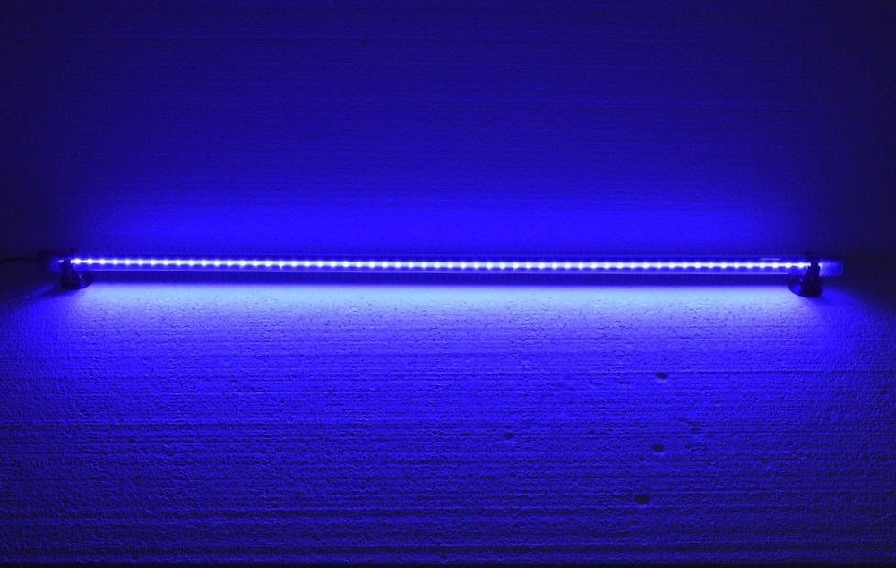 Lampa led acvariu 75 cm lumina albastra submersibila 3 Lampa led acvariu 75 cm cu lumina acvariu albastra submersibila. Lumina acvariu pesti albastra, cu led acvariu pentru un efect vizual spectaculos. Lampa LED acvariu 75 cm cu lumina albastra submersibila este alegerea perfecta pentru a crea un efect vizual spectaculos in acvariul tau. Aceasta lampa submersibila cu lumina albastra Blue Moonlight ofera un iluminat de calitate superioara, ideal pentru a evidentia frumusetea pestilor si a plantelor din acvariu. Cu o lungime de 75 cm si 58 de LED-uri albastre de generatie recenta, aceasta lampa LED asigura o luminozitate ridicata si un consum redus de energie electrica, doar 4W. Caracteristici si beneficii: Lumina acvariu albastra: LED-urile albastre Blue Moonlight adauga un efect deosebit in acvariu, o lumina acvariu pesti care accentueaza culorile naturale ale pestilor si plantelor acvatice, oferind in acelasi timp o ambianta relaxanta. Lampa submersibila cu led: Lampa este complet submersibila, oferind flexibilitate in montare atat deasupra acvariului, cat si sub nivelul apei. Poate fi folosita si pentru iluminatul iazurilor, fantanilor arteziene sau al gradinilor. Eficienta energetica: Cu un consum de doar 4W, aceasta lampa LED asigura o economie semnificativa de energie electrica, fara a compromite luminozitatea necesara pentru un acvariu sanatos si atractiv. Durata mare de viata: LED-urile de ultima generatie sunt concepute pentru a oferi o durata de viata lunga, astfel incat sa te bucuri de un iluminat de calitate pentru o perioada indelungata. Siguranta: Lampa cu lumina albastra submersibila ce nu degaja caldura in timpul functionarii, eliminand riscul de supraincalzire a apei sau a mediului inconjurator. De asemenea, nu emite radiatii UV, asigurand un mediu sigur pentru pesti si plante. Instalare facila: Lampa vine echipata cu ventuze pentru o montare usoara pe geamurile acvariului. In plus, lungimea cablului de alimentare de 117 cm permite o instalare flexibila si convenabila. Versatilitate: Aceasta lampa LED poate fi utilizata nu doar in acvarii, ci si pentru iluminatul fantanilor arteziene, gradinilor sau chiar in interior, in vitrine, tavanuri sau bai, oferind un spectacol de lumina unic. Aplicatii: Lampa LED acvariu 75 cm este ideala pentru luminarea acvariilor, iazurilor si fantanilor arteziene, dar si pentru diverse spatii interioare unde se doreste un iluminat ambiental deosebit. Cu aceasta lampa, vei putea crea un mediu acvatic impresionant, care sa imbunatateasca atat estetica, cat si bunastarea pestilor din acvariu. Investind in aceasta lampa LED, vei aduce un plus de frumusete si eficienta in spatiul tau acvatic, beneficiind de toate avantajele oferite de un iluminat modern si economic.