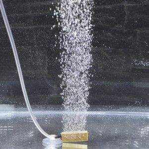 Piatra aer oxigenare acvariu din limewood, bule fine si dense. Perfect ca difuzor aer acvariu sau piatra aer protein skimmer, asigurand oxigenare eficienta.