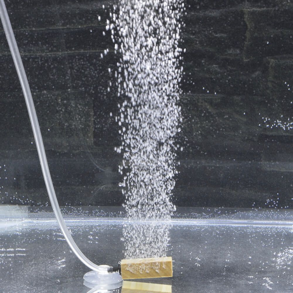 Piatra aer oxigenare acvariu cu bule fine 1 Piatra aer oxigenare acvariu din limewood, bule fine si dense. Perfect ca difuzor aer acvariu sau piatra aer protein skimmer, asigurand oxigenare eficienta.
