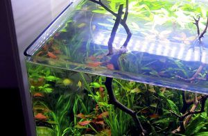 Acvariu 56 litri Ocean Free U Tank 50