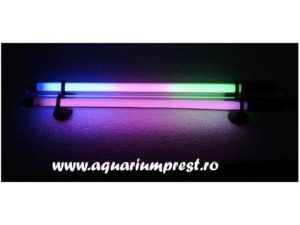 Neon colorat acvariu submersibil 25 cm, in 2 culori (albastru + roz), ideal pentru lumina in gradina, acvarii si luminat apa estetic si / sau functional. Neonul colorat acvariu submersibil in 2 culori (albastru + roz) de 25 cm este solutia perfecta pentru a adauga un plus de eleganta si culoare oricarui acvariu, iaz sau gradina. Acest neon submersibil ofera un spectacol vizual impresionant, combinand lumina albastra si roz pentru a crea un efect deosebit atat in apa, cat si in aer liber.