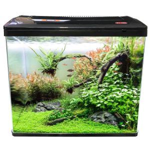Acvariu pesti 79 litri iluminare LED geam curbat Acvariu pesti de vanzare cu lumina LED, capac si filtru. Un model de construire acvariu de exceptie datorita generozitatii volumului si a lumii LED compozite. Acvariu sticla clara cu marginile frontale curbate pentru o mai buna vizibilitate. Descopera acvariul de 79 Litri cu iluminare LED si geam curbat Introducere Cauti un acvariu pesti de vanzare care sa iasa in evidenta? Acvariul de 79 litri cu iluminare LED si geam curbat este alegerea perfecta. Acest model de construire acvariu ofera un volum generos si o vizibilitate superioara. Design inovativ Geamul curbat al acestui acvariu nu doar ca arata superb, dar si imbunatateste vizibilitatea. Vei avea o vedere clara si de efect asupra lumii acvatice. Echipamente de top Echipat cu iluminare LED, acest acvariu asigura un iluminat corect si complet. Plus, capacul si rama sunt facute din plastic ABS rezistent. Constructie de calitate Realizat din sticla clara cu colturi frontale curbate acest acvariu este un exemplu de calitate si design. Este perfect pentru orice casa sau birou. Avantajele sistemului de iluminare LED Iluminarea LED nu doar ca reda culorile vibrante ale pestilor si plantelor, dar are si un consum redus de energie. Este eficienta si practica. Instalarea si intretinerea Instalarea este simpla, iar intretinerea acvariului nu necesita eforturi mari. Urmeaza cateva sfaturi simple pentru a te bucura de un acvariu sanatos. Alegerea pestilor Pentru un acvariu de 79 litri, ai libertatea de a alege dintr-o varietate mare de pesti. Opteaza pentru specii care se potrivesc cu mediul creat. Decorarea acvariului Decorul acvariului poate fi la fel de impresionant ca si designul sau. Alege decoruri dupa gutul si imaginatia ta. Intrebari frecvente (FAQ) Cat de des trebuie sa schimb apa? Schimba partial apa o data pe luna pentru cele mai bune rezultate. Ce pesti recomandati pentru acest volum? Opteaza pentru pesti de talie mica sau medie care convietuiesc bine impreuna. Cum intretin sistemul de iluminare LED? Sistemul LED necesita intretinere minima. Doar asigura-te ca este curat. Este acest acvariu potrivit pentru incepatori? Da, este ideal atat pentru incepatori cat si pentru acvaristi experimentati. Cum pot maximiza efectul de iluminare LED? Foloseste decoruri si plante care reflecta sau absorb lumina in moduri interesante. Concluzie Acvariul de 79 litri cu iluminare LED si geam curbat este o opera de arta in lumea acvaristicii. Este perfect pentru cei care doresc un acvariu functional, cu un design impresionant. Fie ca esti la inceputul drumului in acvaristica sau un hobbyist experimentat, acest acvariu iti va depasi asteptarile. Confecționat din sticlă clară. Colțurile frontale sunt curbate astfel că geamul din față și lateralele fac parte din aceeași foaie de sticlă. Avantajul este obținerea unei imagini mult mai clare și de efect a acvariului. Capacul și rama de la baza acvariului sunt confecționate din plastic ABS rezistent. Sistem de iluminare LED cu putere mărită de penetrare a luminii în masa apei pentru un iluminat corect, complet și cu un consum electric redus. Sistem de iluminare cu leduri pentru o performanță maximă în ceea ce privește necesarul de iluminare a unui acvariu. Dotat cu un sistem de iluminare 16 X LED ce face acest tip de acvariu unul din cele mai luminoase întâlnite la acvariile de aceste dimensiuni. Leduri albe (8) și albastre (8) incluse. Sistemul de iluminare al acvariului poate fi conectat la o priză programabilă. Sistem de filtrare On-Top cu un debit de 800 litri pe oră și o putere electrică de 15W cu material filtrant din pâslă filtrare bio-mecanică inclus. Dimensiunile exterioare ale acvariului: 56,8cm (Lungime) x28,8cm (latime) x 48,8cm (înălțime). Dimensiunile interioare ale acvariului: 55cm (Lungime) x 26,4cm (latime) x 42,4cm (înălțime). Grosime geam acvariu: 6 mm. Volum total acvariu: 79,82 litri. Culoare: negru. Acvariul are capacitatea unui volum real de maximum 61,56 litri de apă. Alimentarea se face la sistemul normal de energie electrică: 220-230V/50Hz. Acvariu confecționat din sticlă cu capac din plastic. Compact și cu design inovativ. Cu acest design deosebit acvariul Perfect Tank va fi întotdeauna o atracție în casa sau biroul dumneavoastră. Sistemul de iluminare performant cu care este prevazut acvariul va asigura performanță maximă pentru orice acvarist experimentat sau începător.