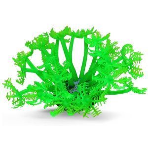 Anemona verde acvariu cu aspect natural Xenia sp. adauga eleganta in orice setup. Ideala ca anemona decorativa pentru decoratiuni acvariu marin si compatibila cu corali de apa dulce, creeaza un efect vizual impresionant in acvariu.