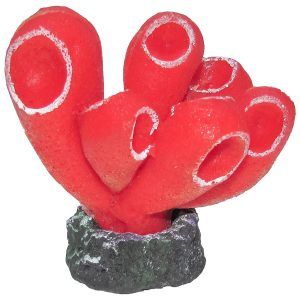 Decor acvariu coral rosu Ocean Free aduce un plus de culoare si dinamism in orice acvariu. Inspirat de corali acvariu naturali, este un ornament acvariu ideal pentru recrearea unui recif acvariu realist si spectaculos.