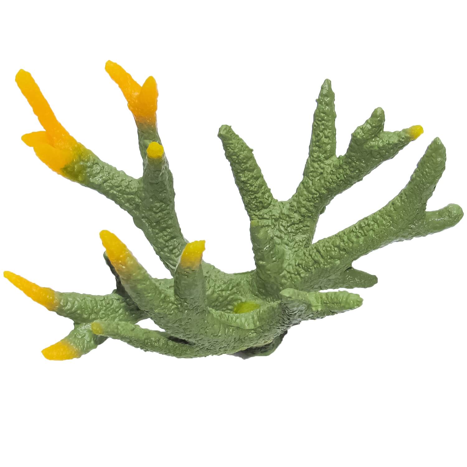 Decor coral acvariu verde cu muguri galbeni 2 Decor coral acvariu cu nuante verzi si galbene, ideal pentru acvarii moderne. Corali artificiali pentru acvariu cu aspect realist, perfecti ca decor acvariu estetic. Alege corali decorativi care transforma mediul acvatic intr-un recif viu.