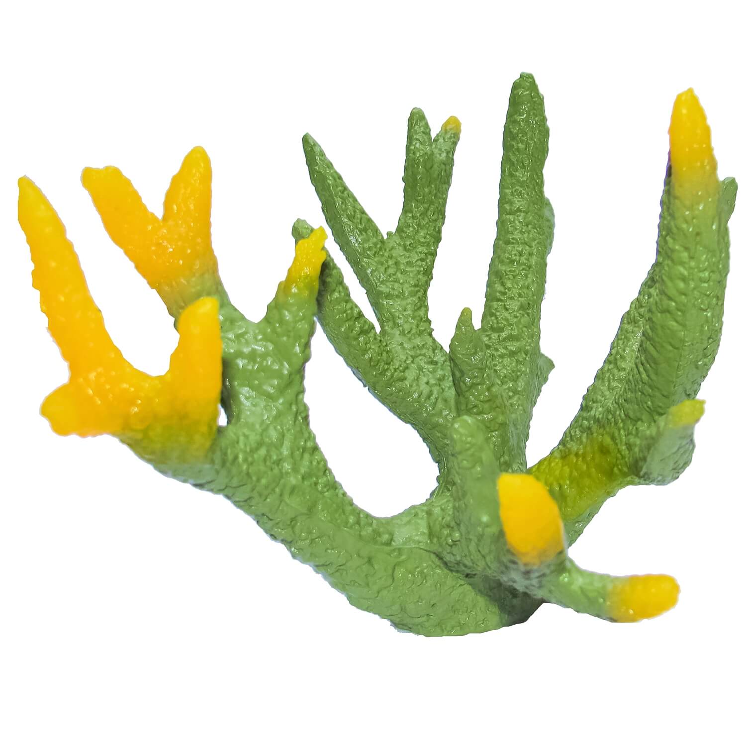 Decor coral acvariu verde cu muguri galbeni 3 Decor coral acvariu vibrant, verde cu muguri galbeni, aduce un plus de culoare si stil in acvariul tau. Corali artificiali pentru acvariu cu textura naturala, ideali ca decor acvariu durabil si usor de integrat in orice setup cu corali.