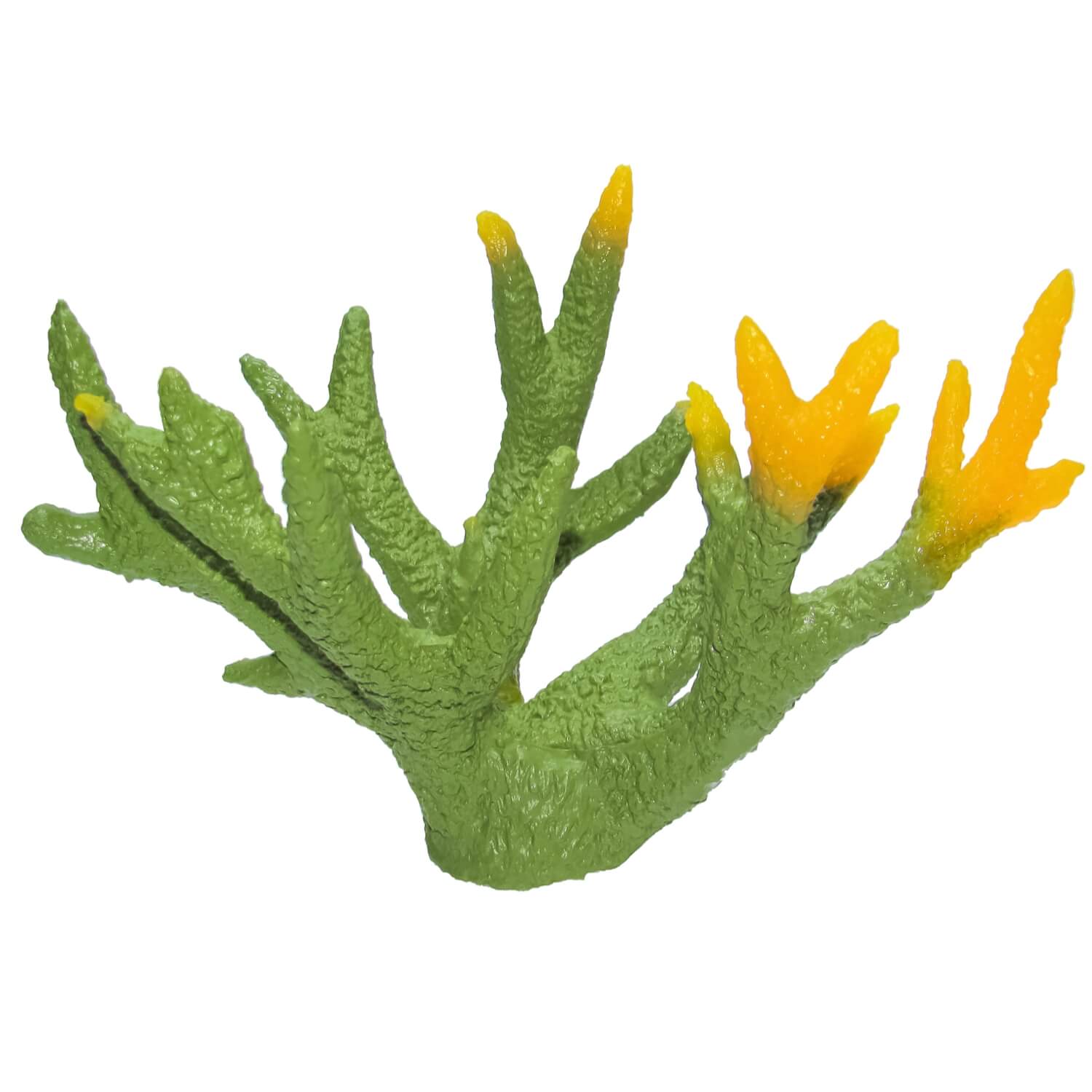 Decor coral acvariu verde cu muguri galbeni 4 Decor coral acvariu verde cu galben – o alegere perfecta pentru un efect vizual uimitor. Corali artificiali pentru acvariu de calitate, perfecti ca decor acvariu pentru amenajari unice si naturale. Corali decorativi ideali pentru orice stil.