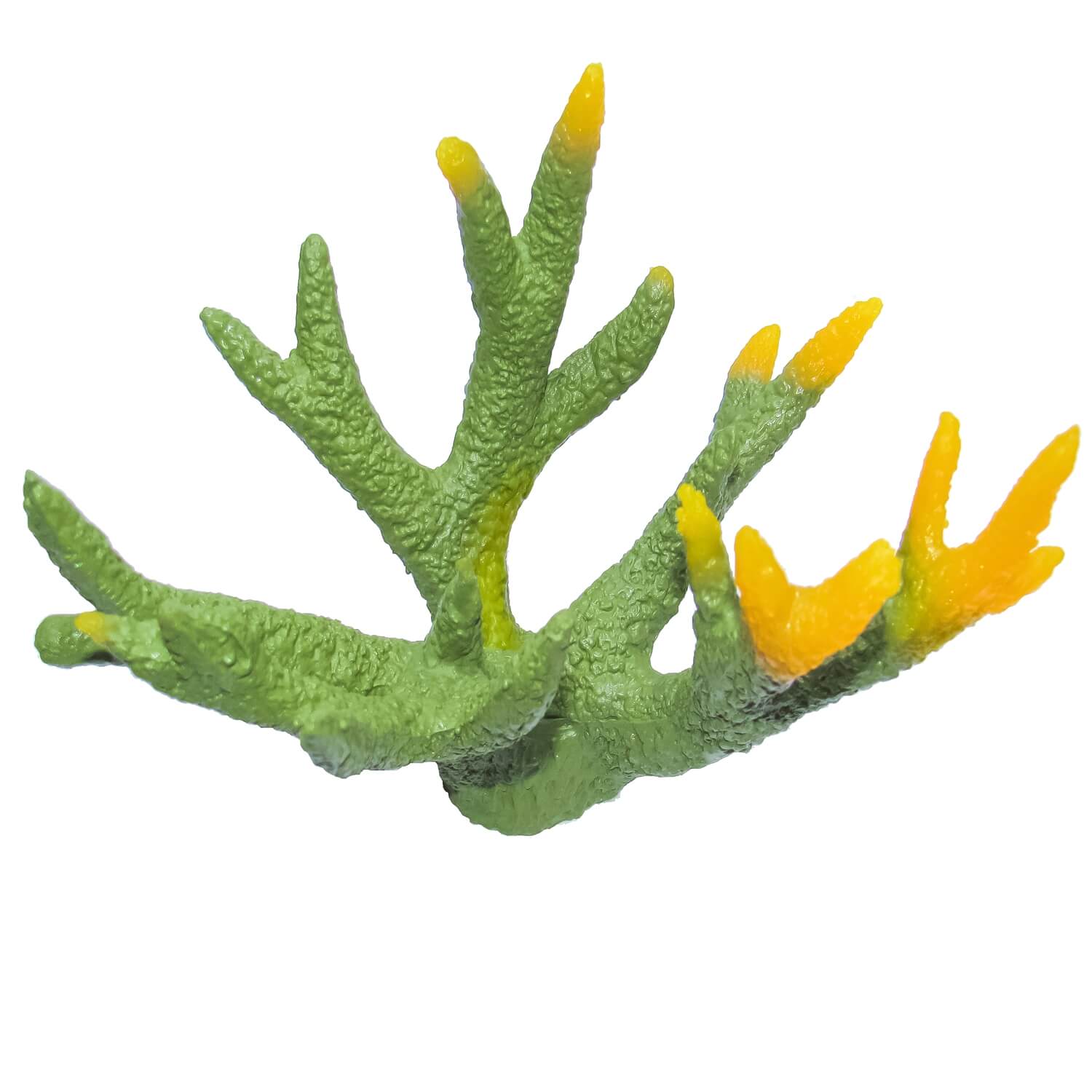 Decor coral acvariu verde cu muguri galbeni 5 Decor coral acvariu cu muguri galbeni aduce vitalitate in acvariul tau. Corali artificiali pentru acvariu, potriviti pentru toate tipurile de acvarii. Foloseste acest decor acvariu pentru un look proaspat si plin de corali expresivi.