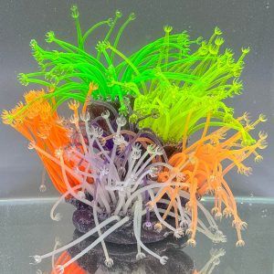 Recif corali cu anemone este solutia ideala pentru un decor acvariu spectaculos. Elementele de decor corali de acvariu adauga culoare, textura si realism in orice tip de acvariu.