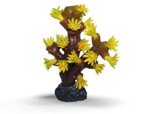 Decor reef acvariu coral Tubastraea