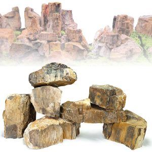 Decor piatra acvariu din lemn fosilizat, o roca acvariu naturala si autentica, ideala ca piatra decorativa acvariu pentru aranjamente unice.
