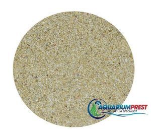 Spartura de coral pentru acvariu 3 mm, 1 kg – nisip de coral ideal ca substrat acvarii marine. Nisip coralifer natural pentru mediu sanatos. Spartura de coral pentru acvariu cu granulatie de 3 mm este un substrat de calitate superioara, perfect pentru acvariile marine si cu pesti exotici. Acest nisip de coral este 100% natural, colectat din zone nepoluate, fara aditivi chimici, fosfati sau silicati, asigurand astfel un mediu sigur pentru pesti si nevertebrate. Granulatia uniforma de 3-4 mm ofera stabilitate substratului, in timp ce marginea rotunjita a granulelor protejeaza pestii si faciliteaza plantarea si cresterea sanatoasa a plantelor acvatice. Acest nisip coralifer natural pentru acvarii marine este o alegere ideala pentru pasionatii de acvaristica ce doresc sa creeze un habitat care sa sustina atat viata marina, cat si dezvoltarea microorganismelor benefice. Datorita continutului natural de calciu, nisipul contribuie la echilibrarea pH-ului apei, reducand oxidarea si sustinand un mediu biologic activ. Acest proces este esential pentru acvarii marine, in special pentru sanatatea pestilor si coralilor, mentinand constant nivelul de pH si prevenind fluctuatiile daunatoare. Caracteristici principale ale produsului: Granulatie uniforma de 3-4 mm: perfecta pentru substrat stabil si sigur in acvariile marine. Nisip de coral 100% natural: fara aditivi sau substante chimice, ideal pentru mediu natural si sigur pentru acvarii. Asigura un pH stabil si un mediu biologic activ: continutul de calciu ajuta la mentinerea unui pH ridicat, favorizand procesele biologice esentiale. Versatilitate: recomandat pentru acvarii marine si apa dulce, ca baza sau in combinatii cu alte decoratiuni pentru un aspect estetic si functional. ​ Beneficiile utilizarii sparturii de coral pentru acvariu Spartura de coral pentru acvariu contribuie la un habitat sanatos, ideal pentru cresterea coralilor, a pestilor si a altor vietuitoare marine. In plus, culoarea naturala a nisipului accentueaza nuantele vibrante ale pestilor tropicali, oferind un contrast elegant si un peisaj atractiv in acvariu. Fara praf si reziduuri, nisipul nu murdareste apa, permitand un mediu curat si clar. Acest nisip coralifer poate fi folosit in combinatii cu alte elemente decorative, cum ar fi pietrele si coralii colorati, contribuind la estetica si sanatatea acvariului. Datorita faptului ca nu contine fosfati sau alte substante daunatoare, spartura de coral nu afecteaza calitatea apei si este ideala pentru mentinerea unui acvariu curat, sigur si sanatos. Recomandari de utilizare Inainte de utilizare, este recomandata prespalarea nisipului pentru a elimina orice impuritati naturale si a asigura un mediu optim in acvariu. Se poate folosi ca substrat principal in acvariile marine, asigurand suport pentru corali si plante, dar si in acvarii decorative unde contribuie la un design natural. Este indicat sa fie combinat cu pietre si alte decoruri pentru a sublinia culoarea pestilor si a crea un mediu cat mai natural pentru acestia. Specificatii produs Tip produs: Spartura de coral pentru acvariu Granulatie: 3-4 mm Ambalaj: 1 kg, vrac Utilizare: Acvarii marine, apa dulce, decoratiuni interioare ​​ Cu acest nisip de coral ca substrat pentru acvarii marine, obtineti un decor durabil si prietenos cu mediul, sustinand sanatatea vietuitoarelor acvatice.