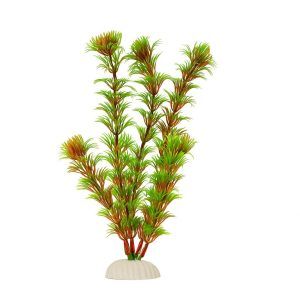 Flori artificiale rosii acvariu Red Cabomba 20 cm, perfecte pentru un decor vibrant. Aceste plante decorative artificiale aduc culoare si stil, fiind plante artificiale durabile si usor de curatat, ideale pentru orice tip de acvariu