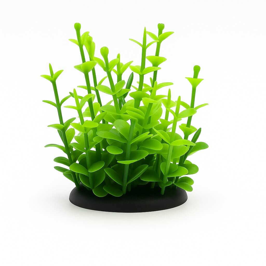 Plante mici artificiale acvariu 8 cm Bacopa 1 Plante mici artificiale Bacopa 8 cm ofera verde intens; plante artificiale rezistente, perfecta planta decorativa artificiala cu baza ceramica, ideale ca plante acvariu incepatori, titlu: Plante mici artificiale acvariu 8 cm Bacopa.