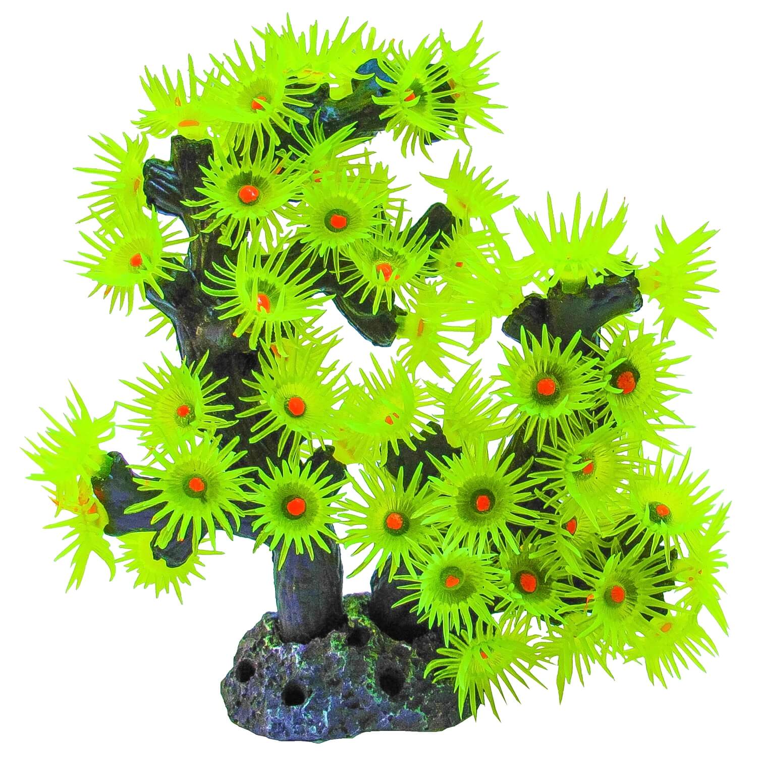 Corali acvariu recif fluorescenti - Ornament pesti 1 Corali acvariu recif fluorescenti, perfecti pentru un ambient spectaculos. Corali fluorescenti cu aspect natural, ideali ca ornament acvariu si decor pesti acvariu, oferind culoare si dinamism oricarui acvariu marin sau de apa dulce.