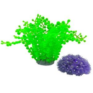 Corali moi pentru acvariu adauga un plus de culoare si textura naturala. Acest decor acvariu vibrant este realizat din corali artificiali pentru acvariu, perfecti pentru un ambient marin spectaculos.
